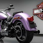 2026 Harley-Davidson Crossbones